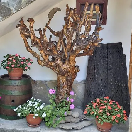 Hébergement de vacances хвойна *