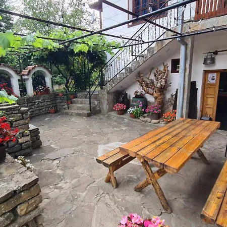 хвойна Hébergement de vacances *