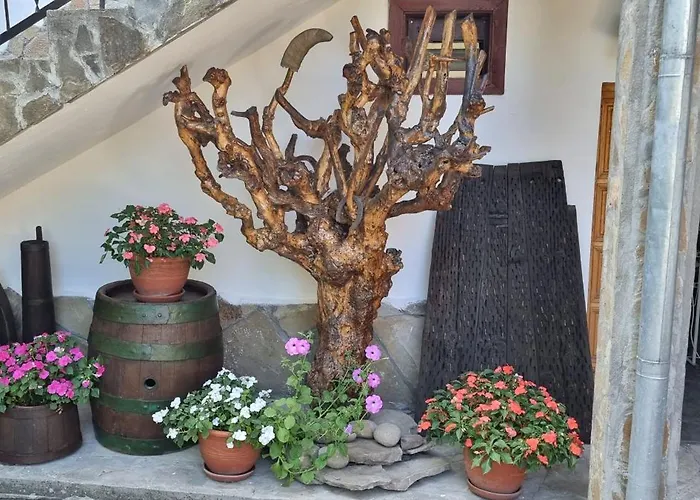 Feriehus хвойна *